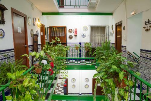 Hostal Pensi�n San Benito Abad