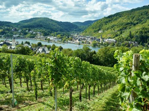 Ringhotel B�mers Mosel Landhotel