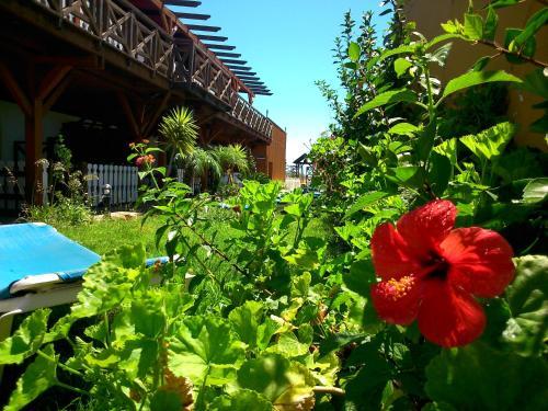Lodge Hostal Playa Mazagon (el Remo)