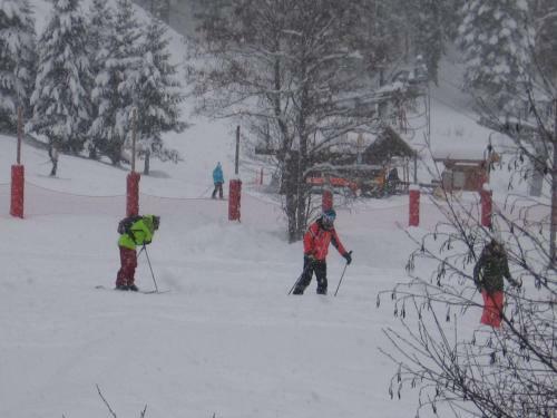 Chalet Jonquille