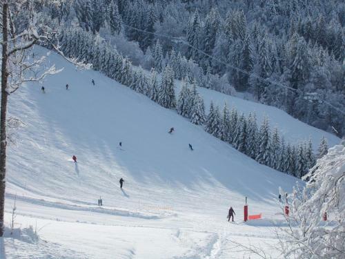 Chalet Jonquille