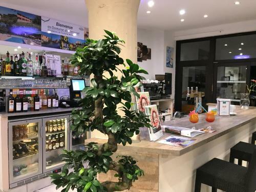 Aparthotel Le Domaine Du Thronnet
