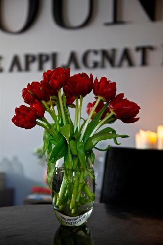 Hotel Boutique H�tel Villa Goxoa