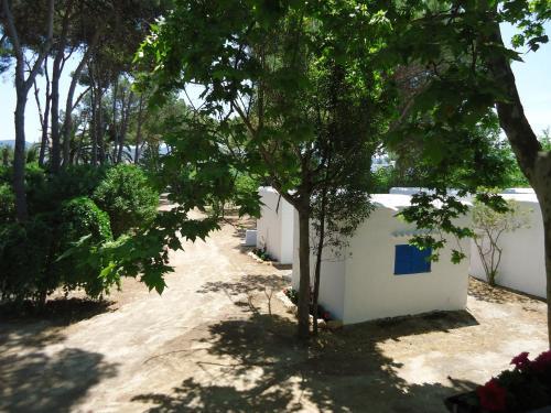 Camping San Antonio
