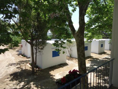 Camping San Antonio