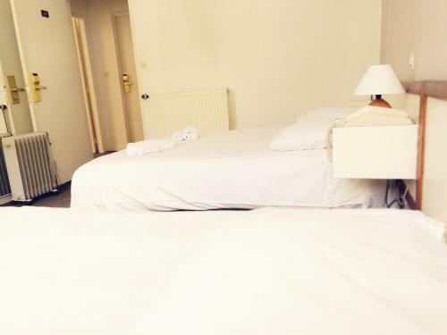 Hotel H�tel-restaurant Les Lilas