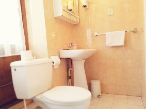 Hotel H�tel-restaurant Les Lilas