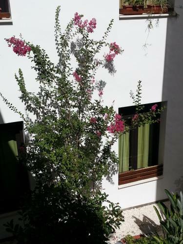 Apartamentos Patio De Viana