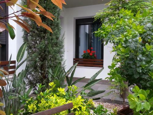 Apartamentos Patio De Viana