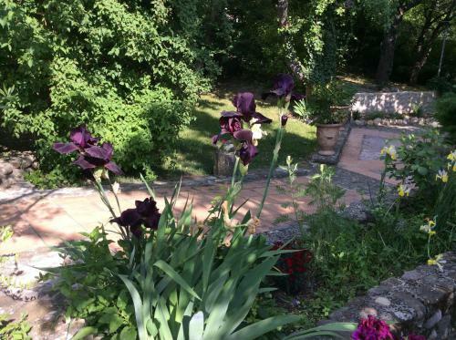 Hotel Clos Des Iris