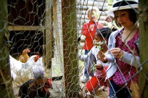 Vvf Villages � Le Sud Aveyron � Brusque