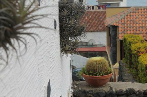 Finca El Cantero