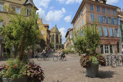 Apartamentos Colmarappart Grand'rue
