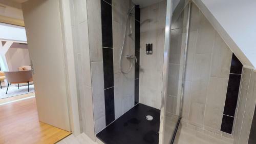 Apartamentos Colmarappart Grand'rue