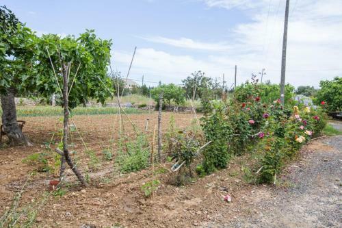 Villa Can Verga