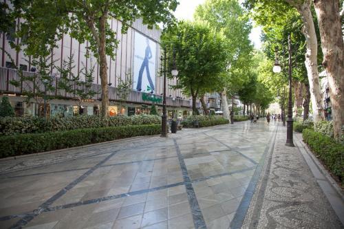 Apartamento Ancha De La Virgen 1