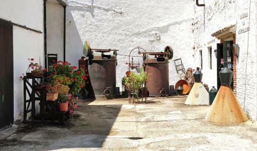 Agroturismo Molino El Vinculo