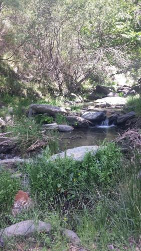 Agroturismo Alojamientos Rurales Los Macabes