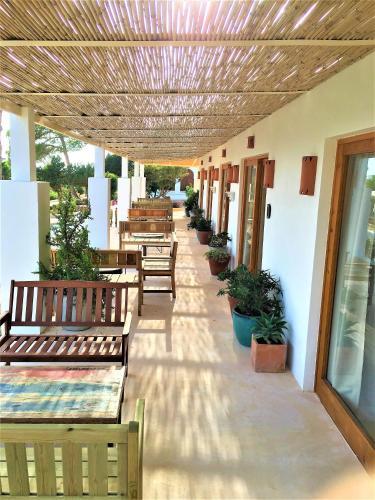 Apartamento Petunia Ibiza