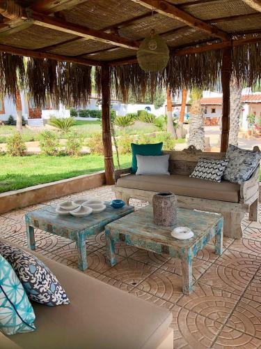 Apartamento Petunia Ibiza