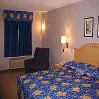 Hotel La Quinta Inn Branson Music City Centre