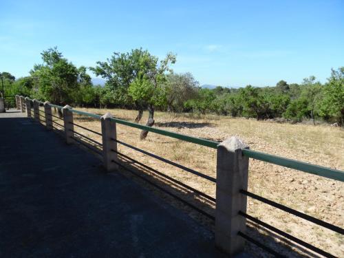 Villa Finca Son Rosinyol