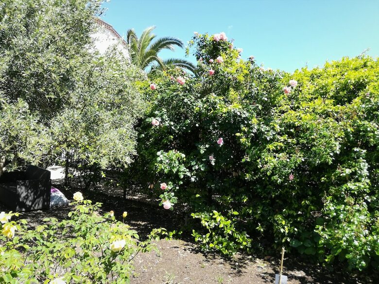 Bed & Breakfast Villa Angel