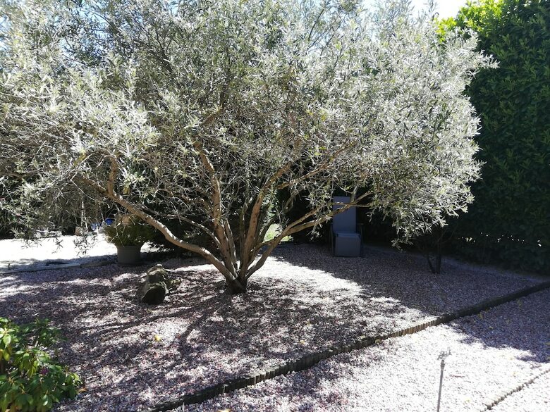 Bed & Breakfast Villa Angel