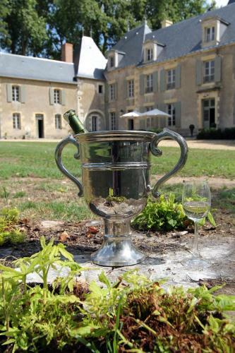 Bed & Breakfast Ch�teau De Planchevienne