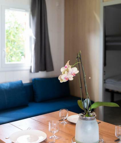 Domaine Chalets Larlapean