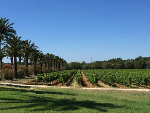 Bastide Des Anglades