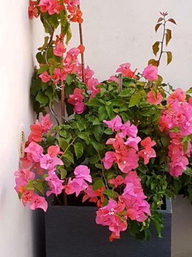 Villa R� Tour De Plage
