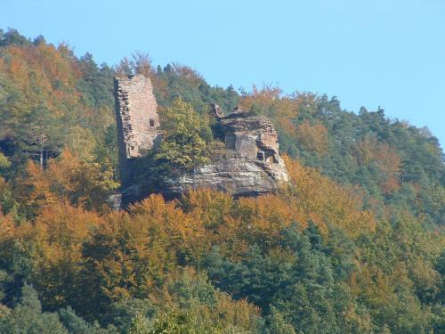 Hotel Alsace Village