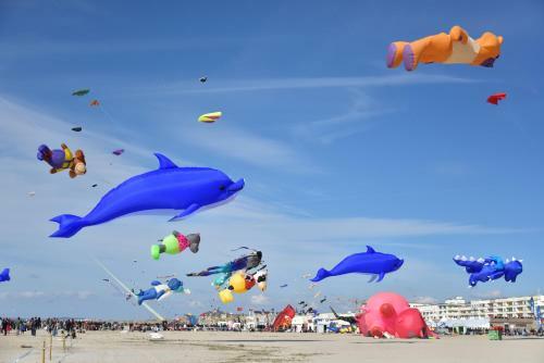 Apartamento Studio "les Pieds Dans L'eau" - 50m Front De Mer