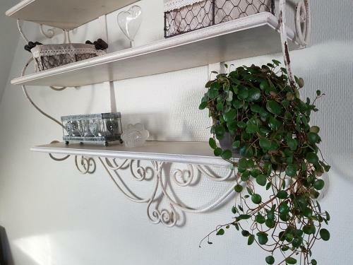 Apartamento La Petite Parenth�se