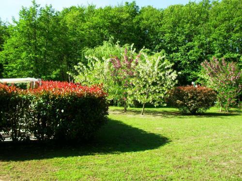 R�sidence Les Aulnes
