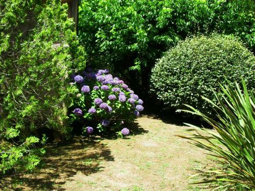 R�sidence Les Aulnes