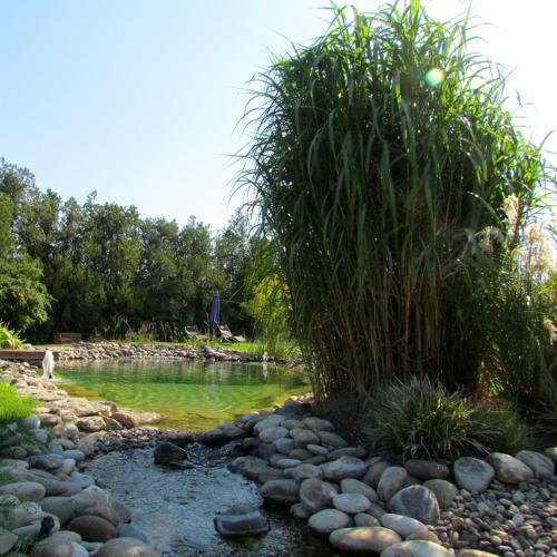 Bed & Breakfast Couleur Lavande