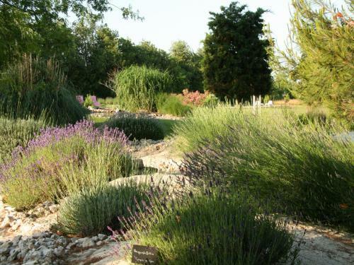 Bed & Breakfast Couleur Lavande