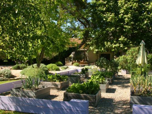 Bed & Breakfast Couleur Lavande
