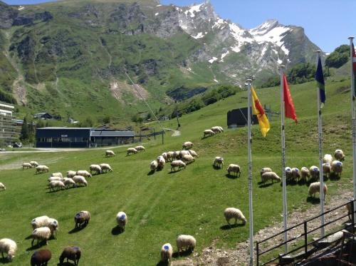 Hotel H�tel Boule De Neige