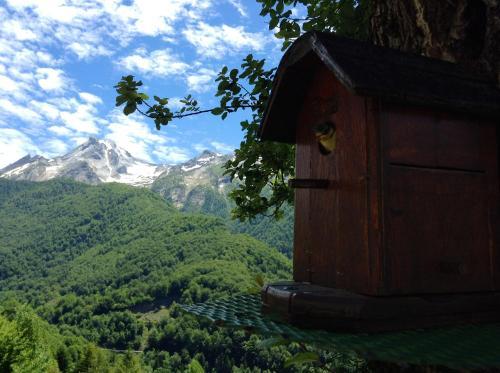 Hotel H�tel Boule De Neige