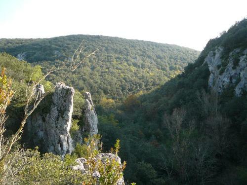 Domaine De Chadeyron
