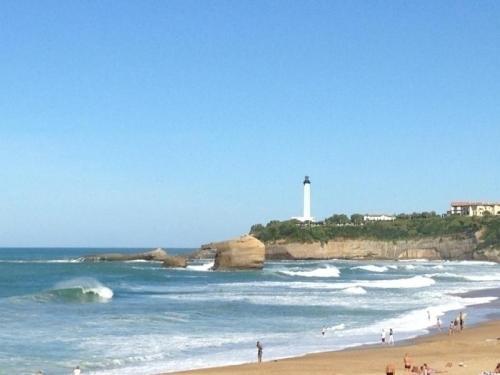 Apartment Victoria Surf 415