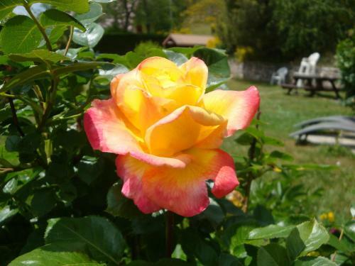 Bed & Breakfast Chambres D'h�tes Le G�n�pi