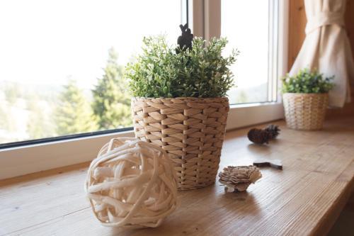 Apartamento Kuckucksnester Feldberg