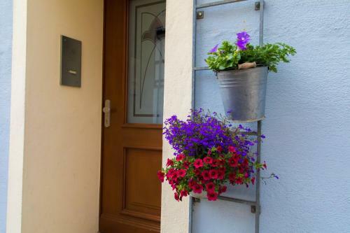 Hotel Blaue Blume
