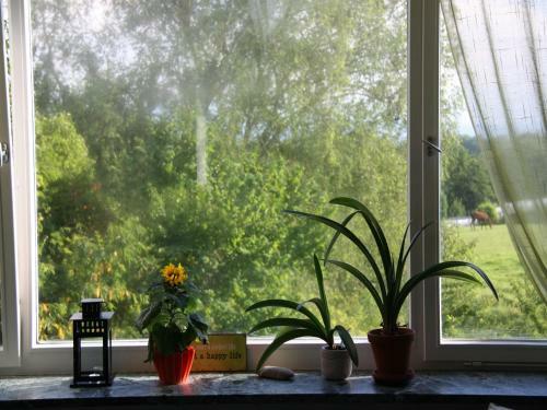 Apartamento Ferienwohnungen Pano