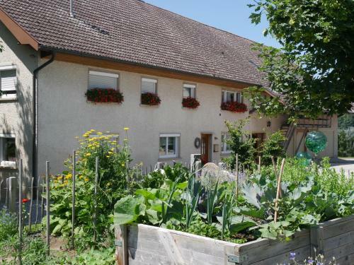 Apartamento H�hlerhof