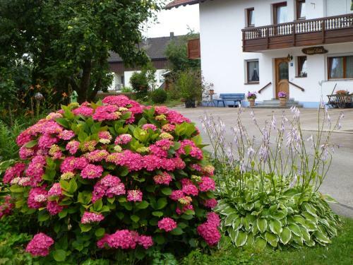 Hostal Haus Lissi